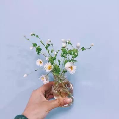 封仙之怒福利版下载